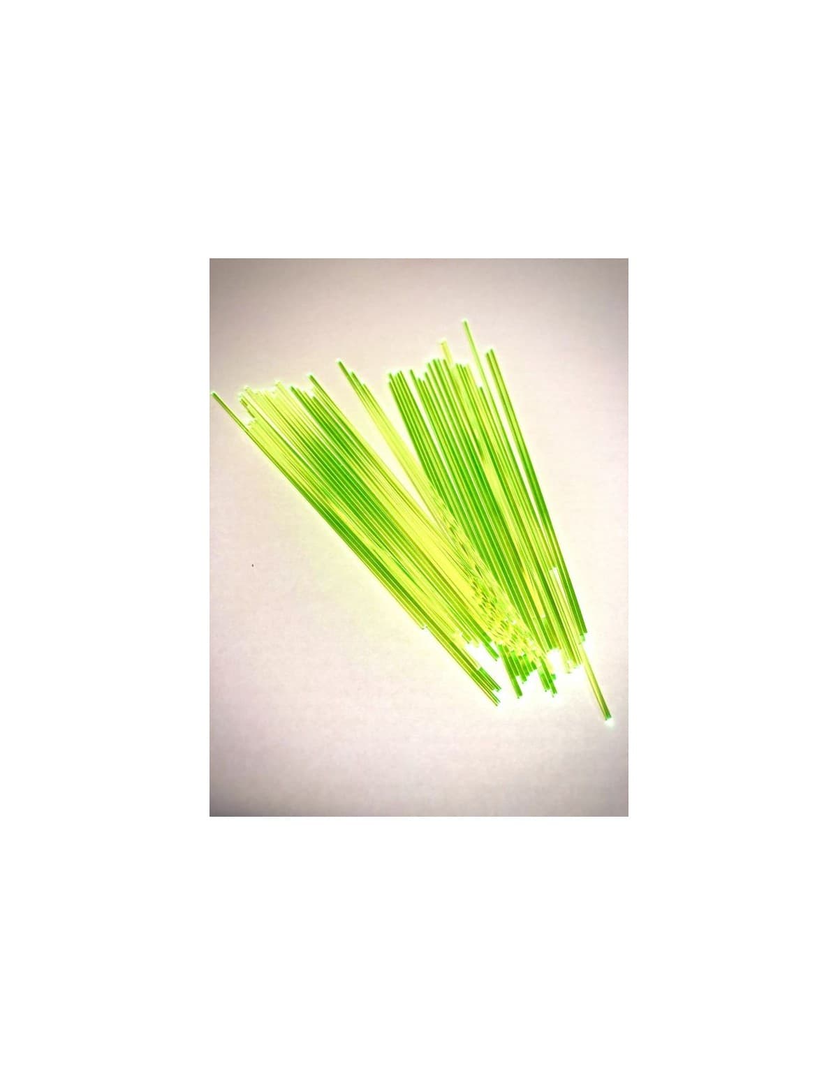 FIBRE OPTIQUE LPA DIAM 1MM VERT X10
